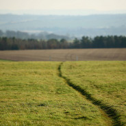 Shortest Path to Financial Independence