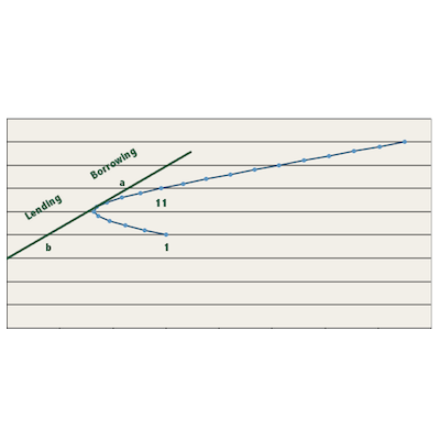 Unique Risk - Minimum Variance Portfolio